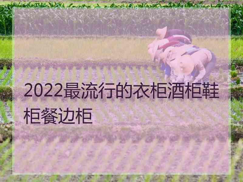 2022最流行的衣柜酒柜鞋柜餐边柜