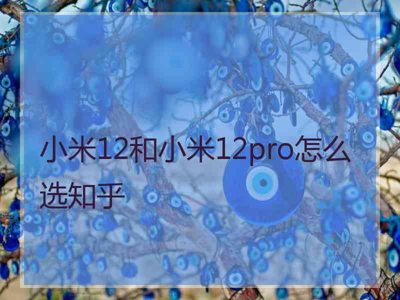 小米12和小米12pro怎么选知乎