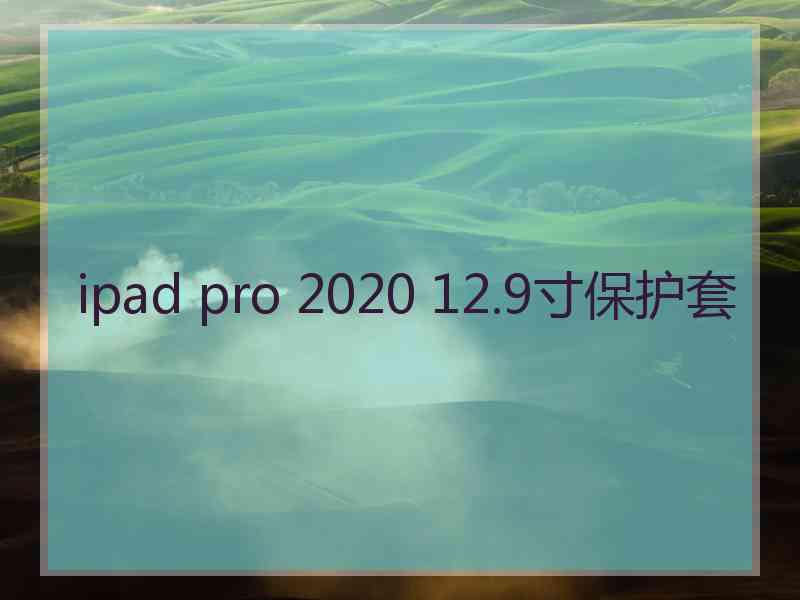 ipad pro 2020 12.9寸保护套