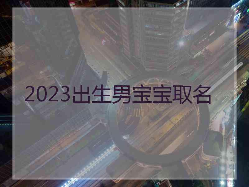 2023出生男宝宝取名