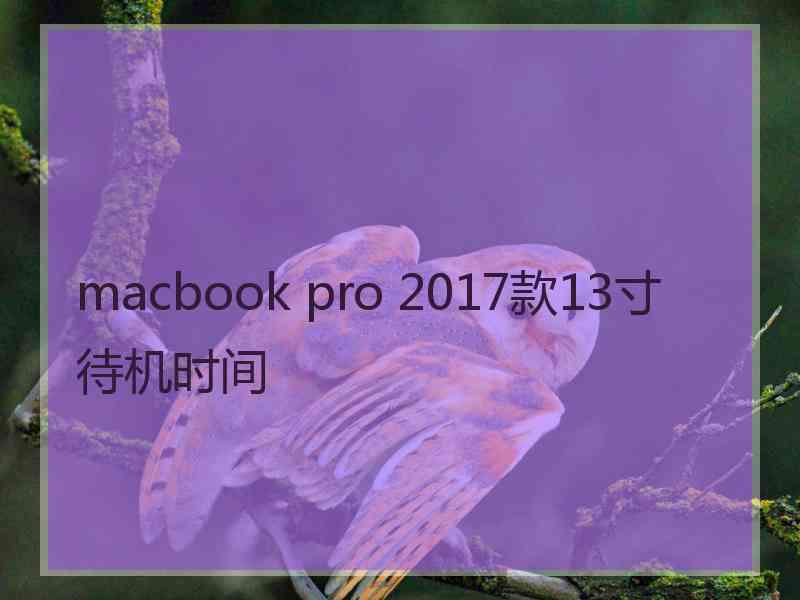 macbook pro 2017款13寸待机时间