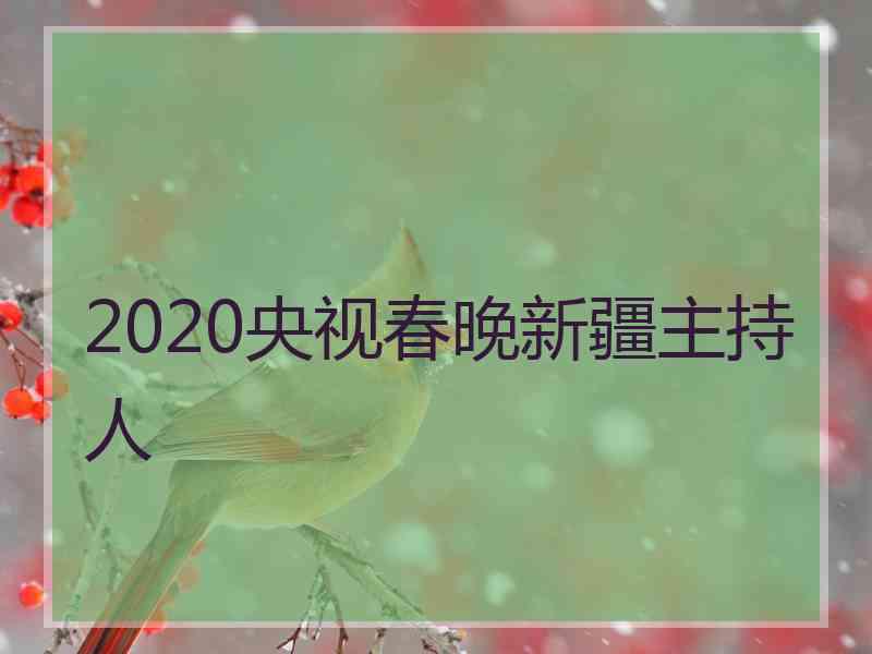 2020央视春晚新疆主持人