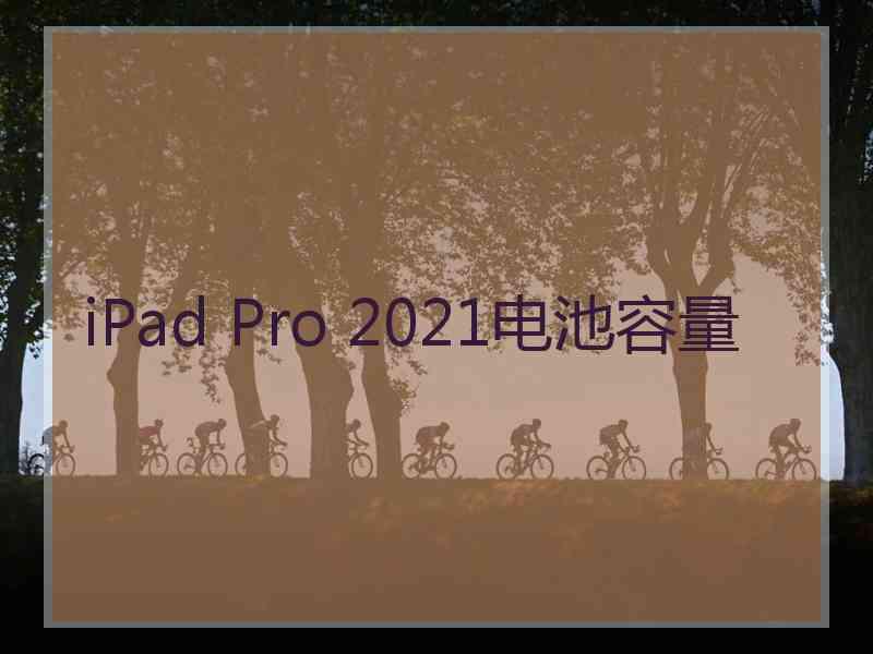 iPad Pro 2021电池容量