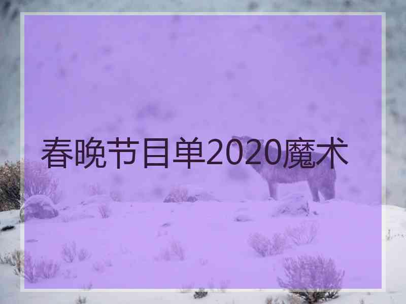 春晚节目单2020魔术