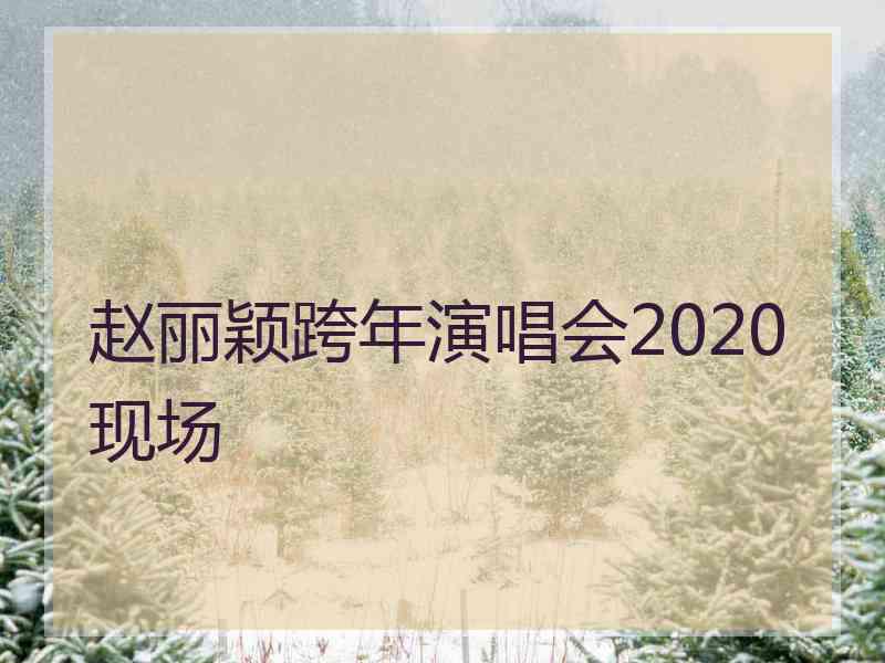 赵丽颖跨年演唱会2020现场