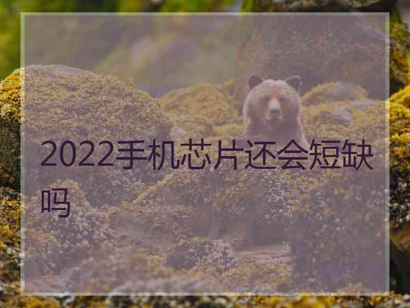 2022手机芯片还会短缺吗