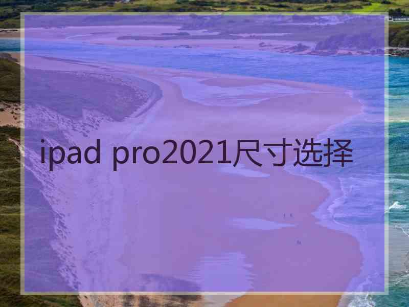 ipad pro2021尺寸选择