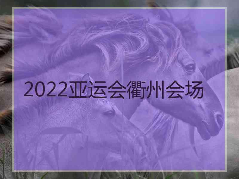 2022亚运会衢州会场