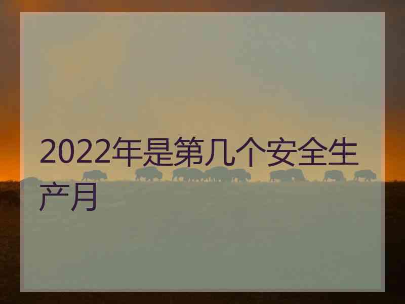 2022年是第几个安全生产月