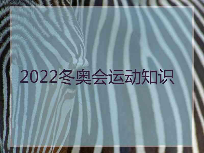 2022冬奥会运动知识