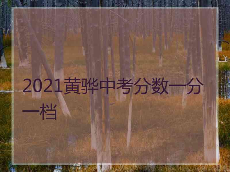 2021黄骅中考分数一分一档