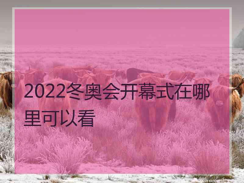 2022冬奥会开幕式在哪里可以看