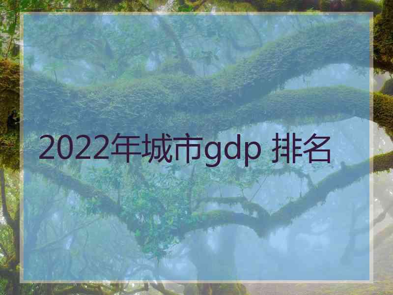 2022年城市gdp 排名