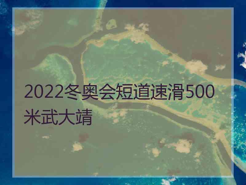 2022冬奥会短道速滑500米武大靖