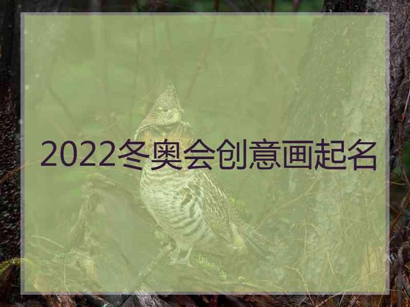 2022冬奥会创意画起名