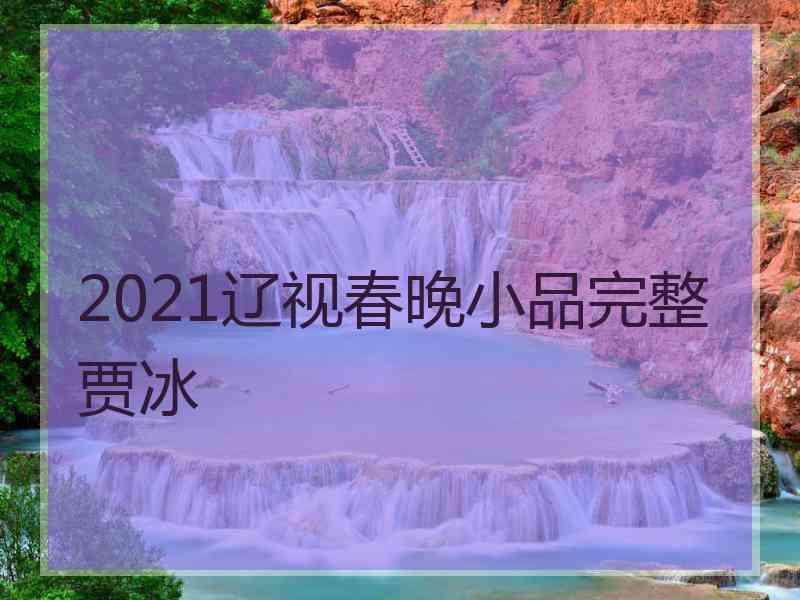 2021辽视春晚小品完整贾冰