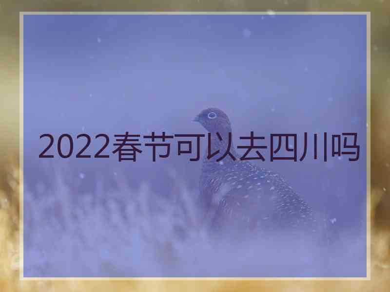 2022春节可以去四川吗