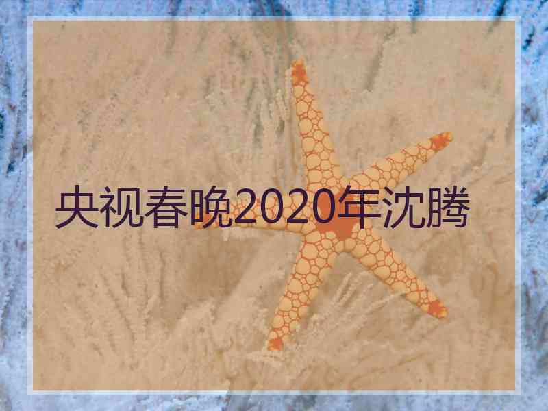 央视春晚2020年沈腾