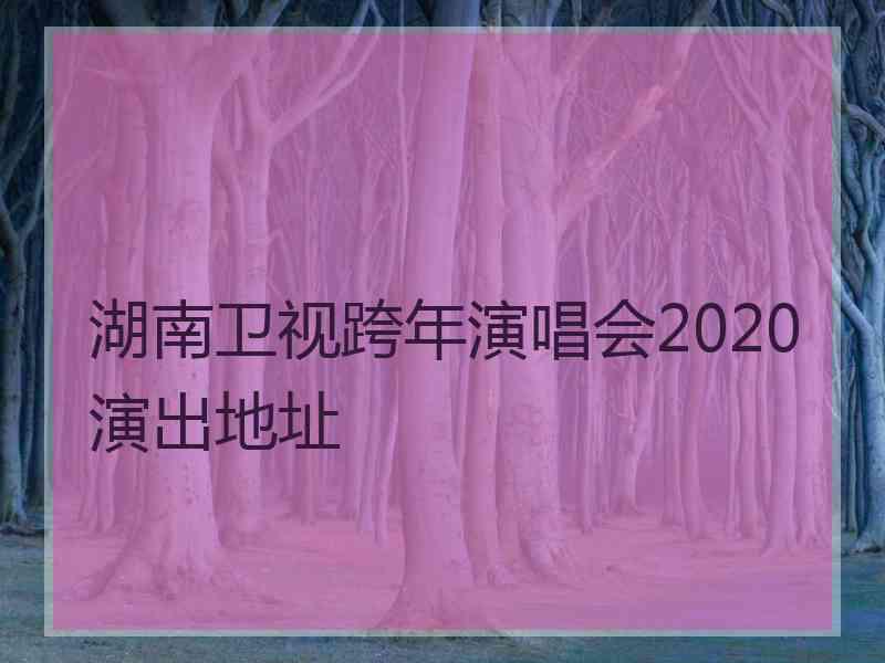 湖南卫视跨年演唱会2020演出地址