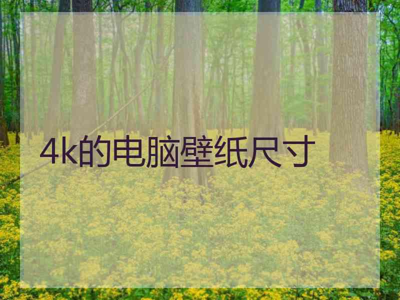 4k的电脑壁纸尺寸