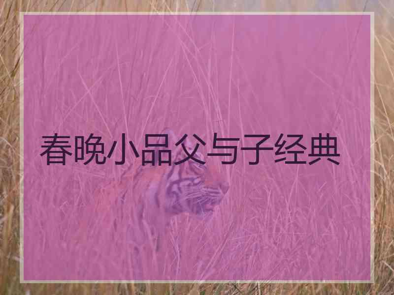 春晚小品父与子经典