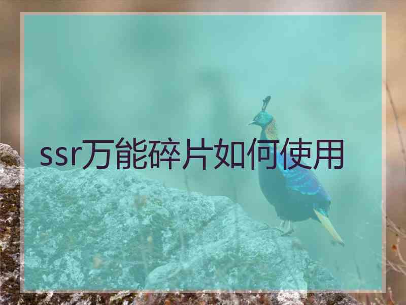 ssr万能碎片如何使用