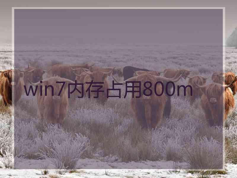 win7内存占用800m