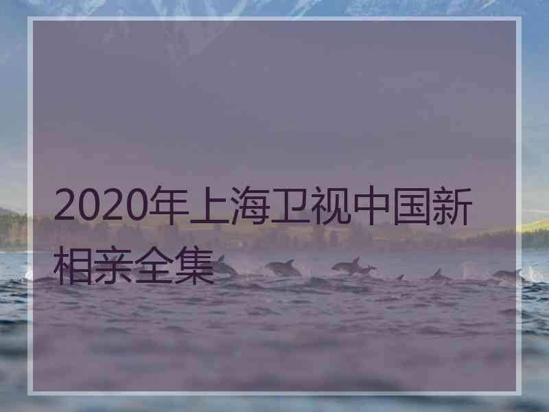 2020年上海卫视中国新相亲全集