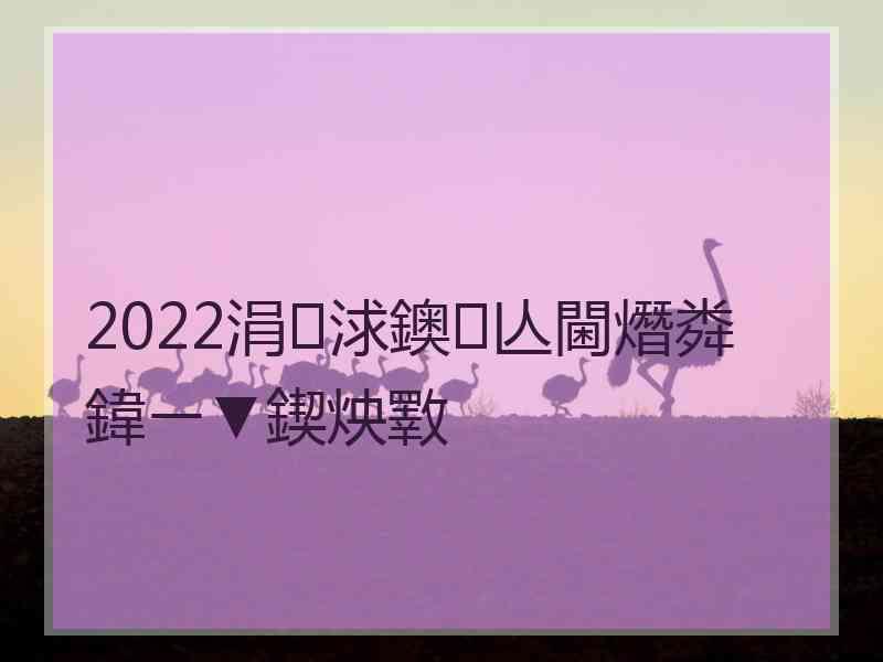 2022涓浗鐭亾閫熸粦鍏ㄧ▼鍥炴斁