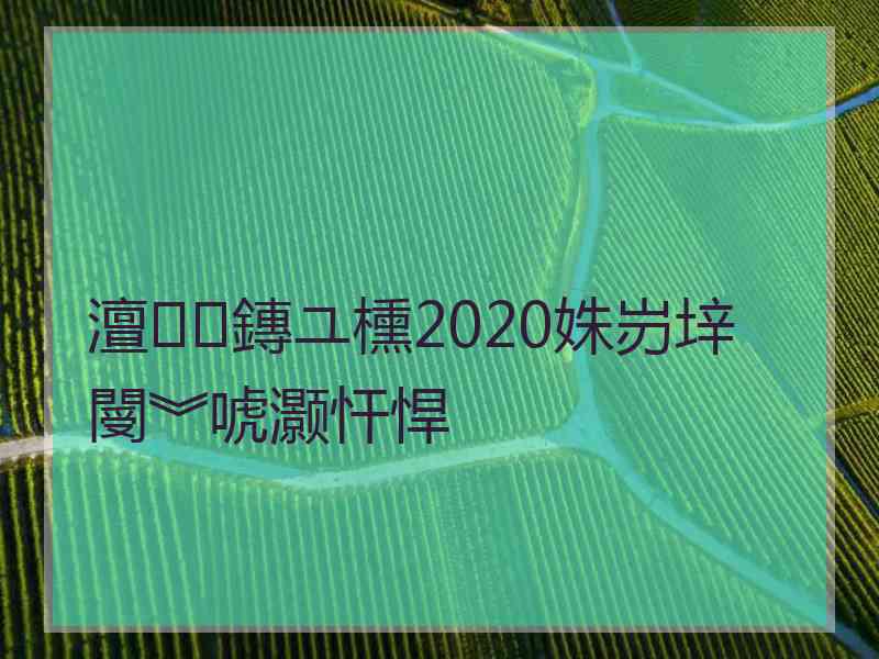 澶鏄ユ櫄2020姝岃垶閿︾唬灏忓悍