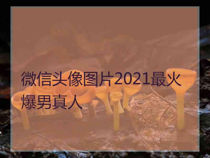 微信头像图片2021最火爆男真人