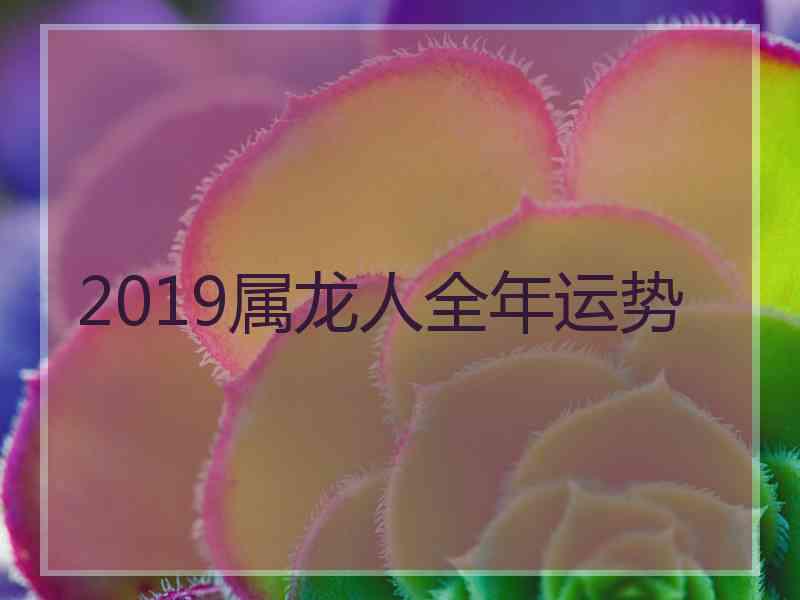 2019属龙人全年运势