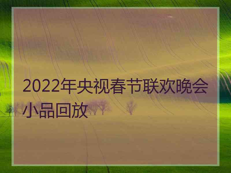 2022年央视春节联欢晚会小品回放