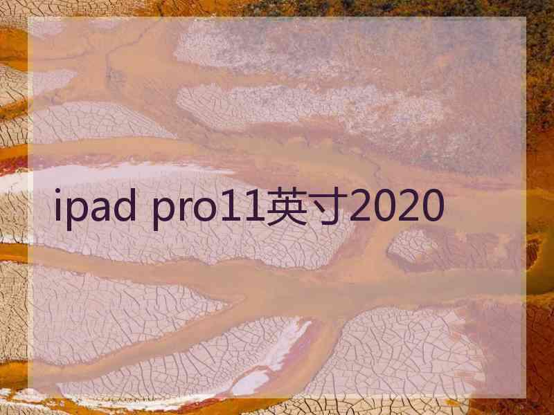 ipad pro11英寸2020