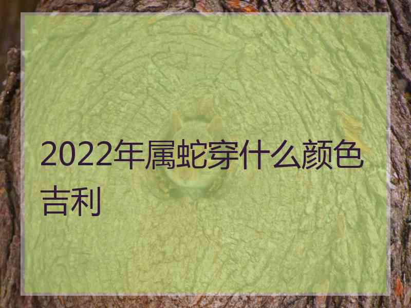 2022年属蛇穿什么颜色吉利