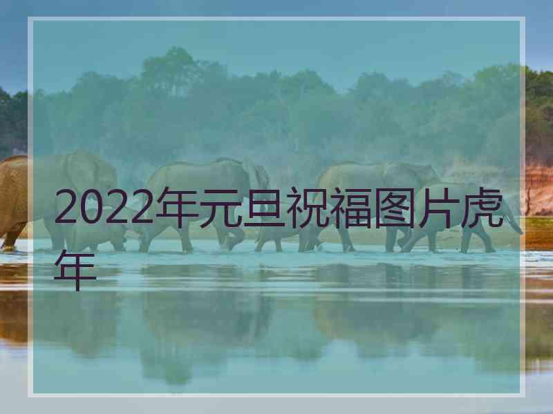 2022年元旦祝福图片虎年