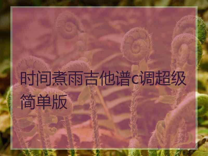 时间煮雨吉他谱c调超级简单版