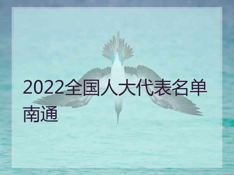 2022全国人大代表名单南通