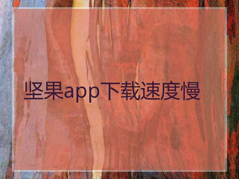 坚果app下载速度慢