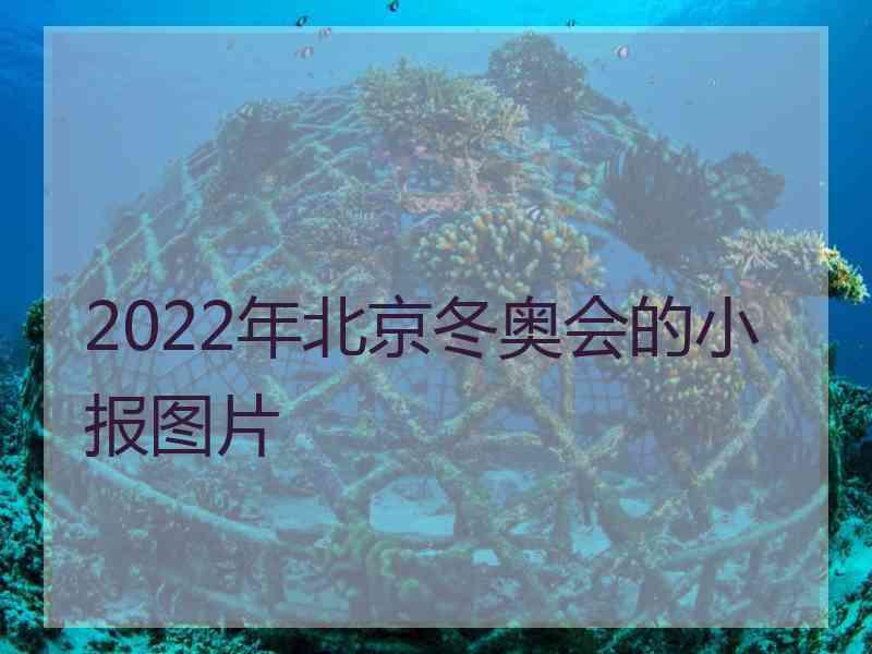 2022年北京冬奥会的小报图片