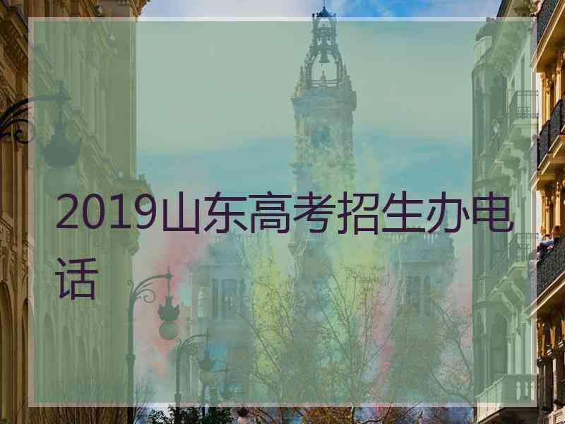 2019山东高考招生办电话