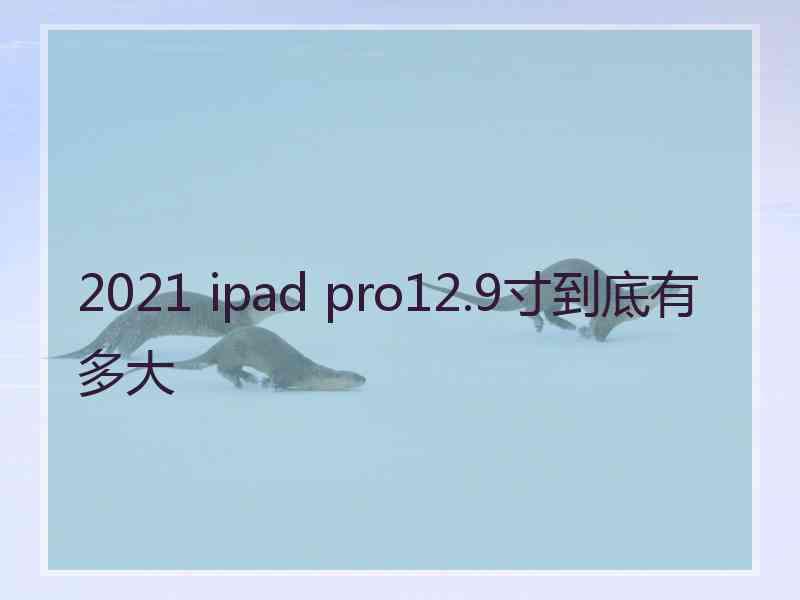 2021 ipad pro12.9寸到底有多大