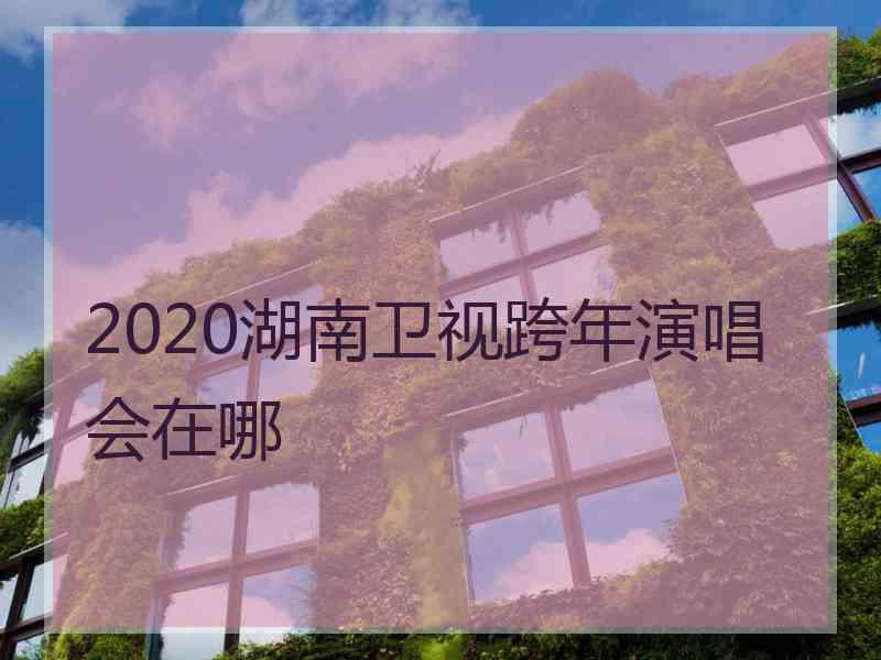 2020湖南卫视跨年演唱会在哪