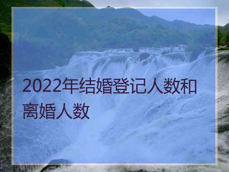 2022年结婚登记人数和离婚人数