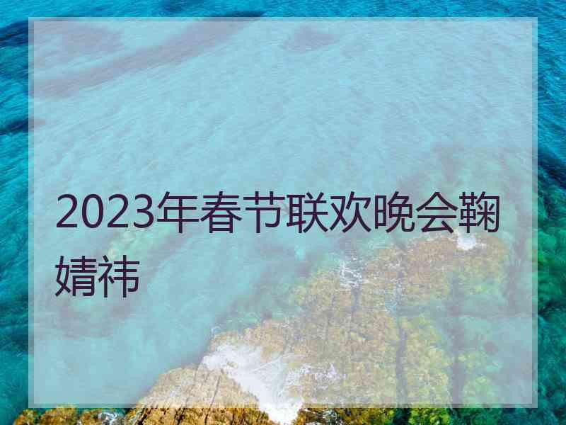 2023年春节联欢晚会鞠婧祎