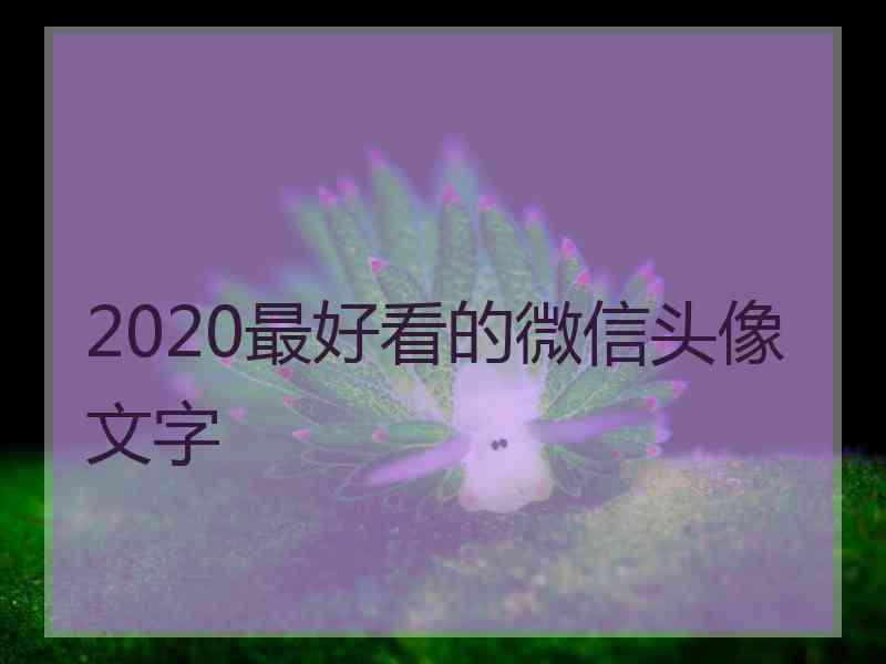 2020最好看的微信头像文字