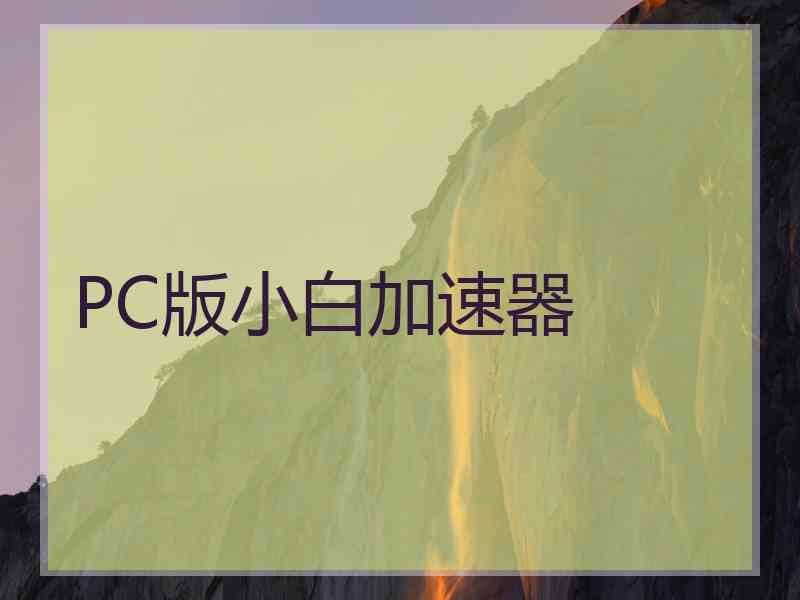 PC版小白加速器