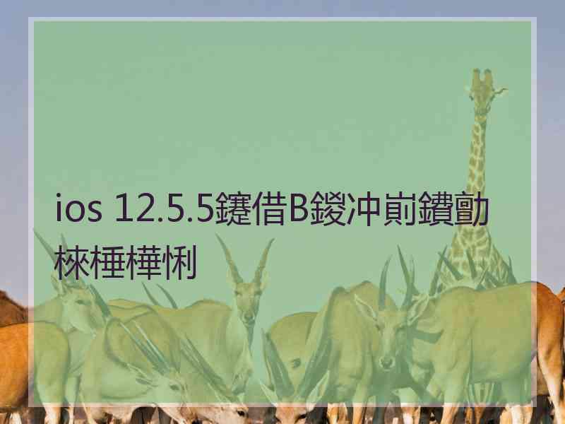 ios 12.5.5鑳借В鍐冲崱鐨勯棶棰樺悧