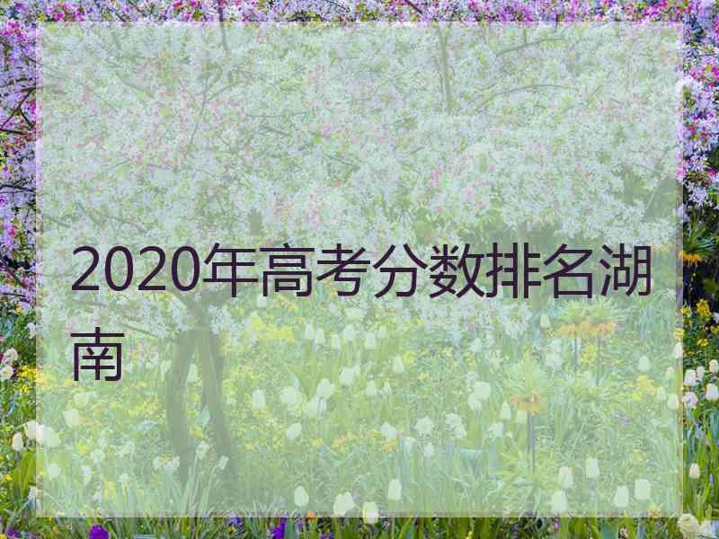 2020年高考分数排名湖南