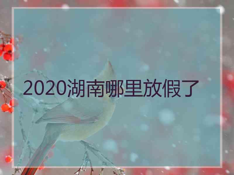 2020湖南哪里放假了